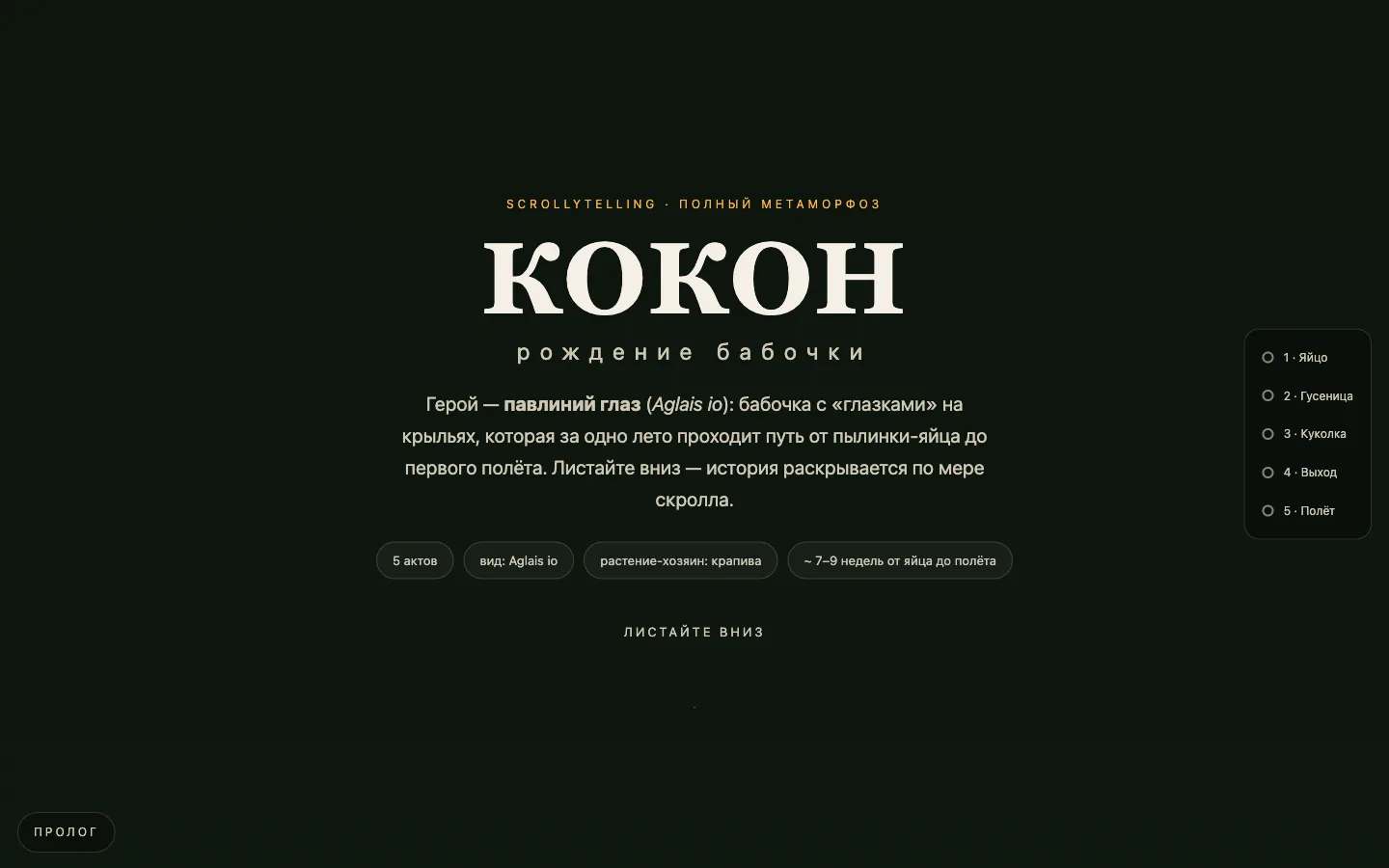 Обложка «КОКОН: рождение бабочки»: крупный заголовок на тёмно-зелёном фоне и индикатор пяти актов метаморфоза